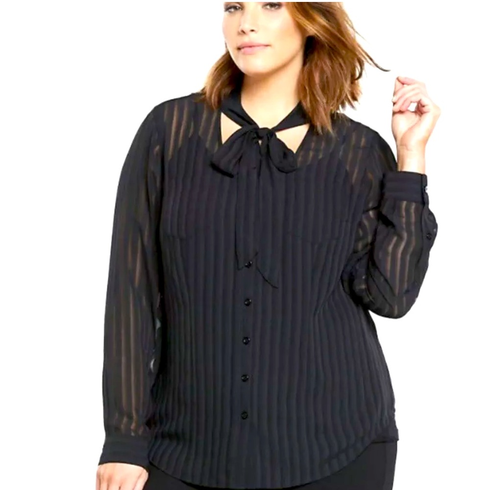 NWT Torrid sheer black button up blouse. Size 2.